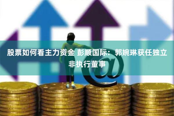 股票如何看主力资金 彭顺国际：郭婉琳获任独立非执行董事