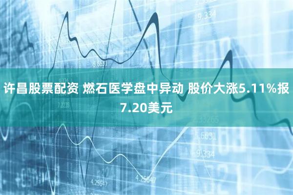 许昌股票配资 燃石医学盘中异动 股价大涨5.11%报7.20美元