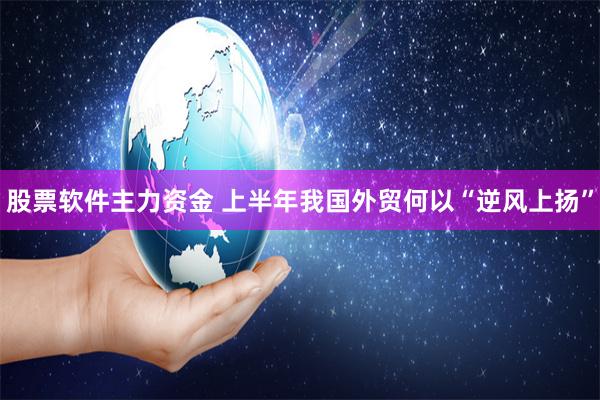 股票软件主力资金 上半年我国外贸何以“逆风上扬”