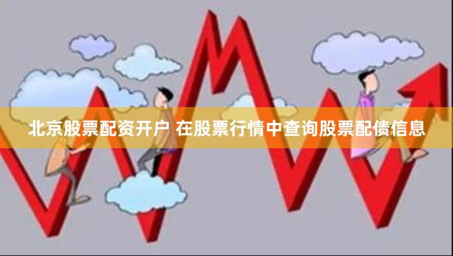 北京股票配资开户 在股票行情中查询股票配债信息