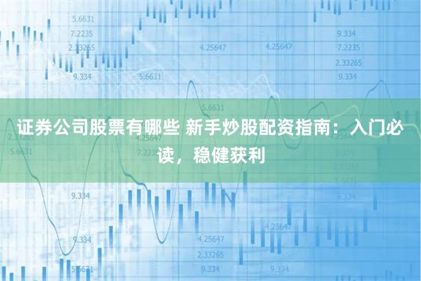 证券公司股票有哪些 新手炒股配资指南：入门必读，稳健获利