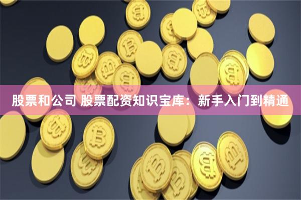 股票和公司 股票配资知识宝库：新手入门到精通